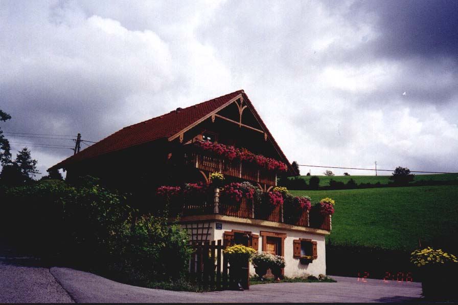 flower of austria
